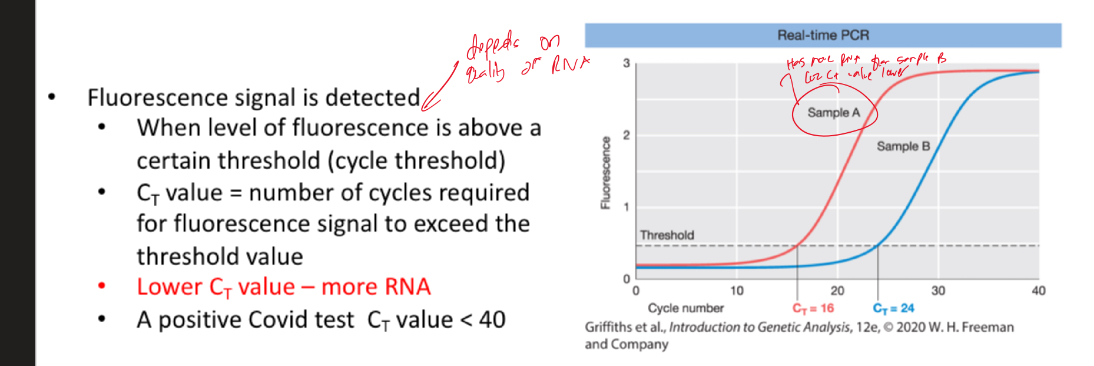<p>Explain and understand this</p>