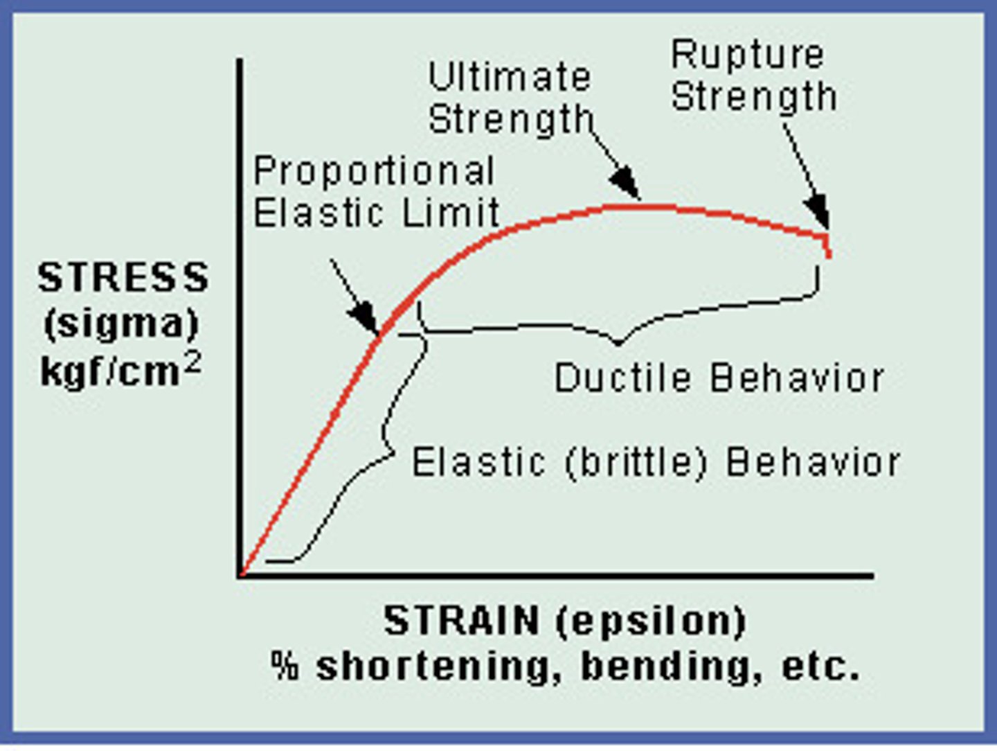 <p>The point at which extension is no longer directly proportional to force</p>