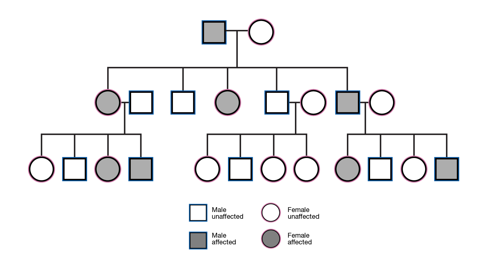 <p><mark data-color="green">refers to the passing of traits from parents to offspring</mark> through genetic information carried in the form of DNA. It determines physical characteristics, behaviors, and susceptibility to diseases.</p>