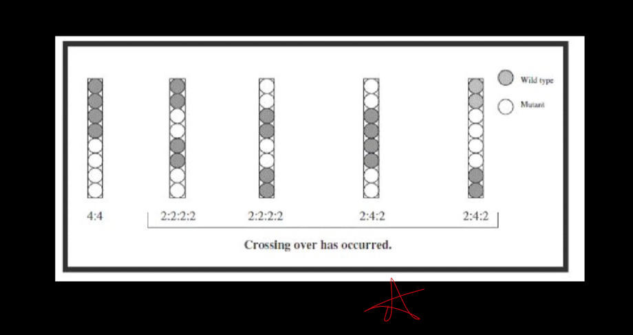 Count to see if crossover is present