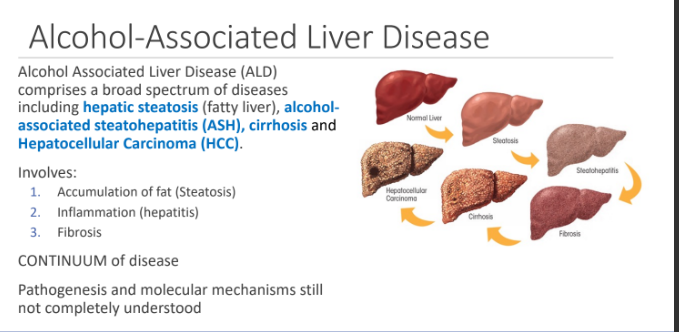 <p>1. Accumulation of fat (Steatosis)</p><p>2. Inflammation (hepatitis)</p><p>3. Fibrosis</p>