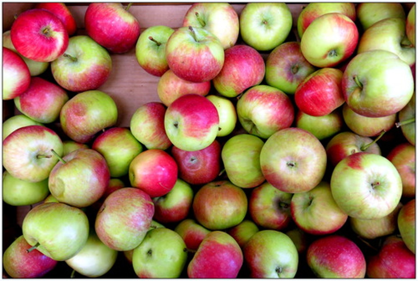<p>apple</p>