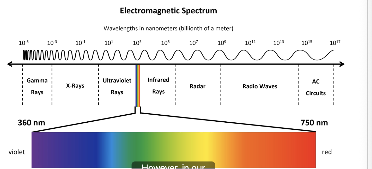 <p>red = 750nm = longer</p><p>violet = 360nm = shorter</p>
