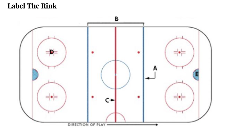 <p>What section of the rink is the Goal crease? (Label the Rink)</p>