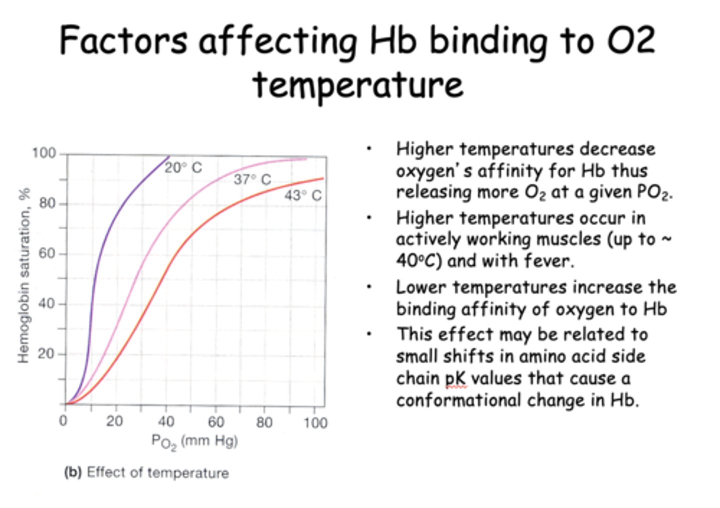 <p>decrease</p>