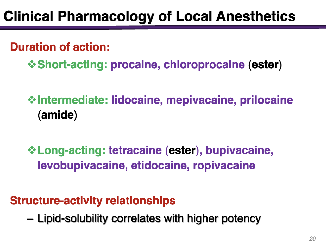 <p>higher potency </p>