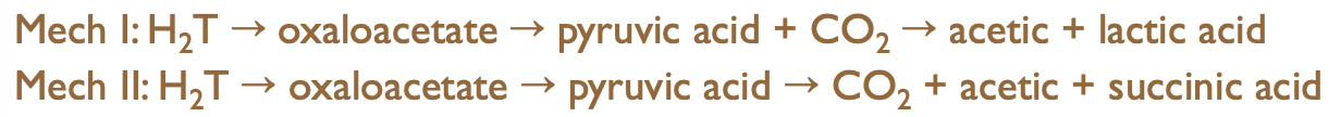 <ul><li><p>associated with wines already spoiled and where other acids (citric, pyretic, malic) have been metabolised: results in DEACIDIFICATION</p></li><li><p>rare spoilage as limited to a few strains of L. plantarum (Mech I) and L. brevis (Mech II)</p></li><li><p>associated with high pH wines</p></li><li><p>acetic acid (&gt;3 g/L) produced </p></li></ul><p></p><p></p>