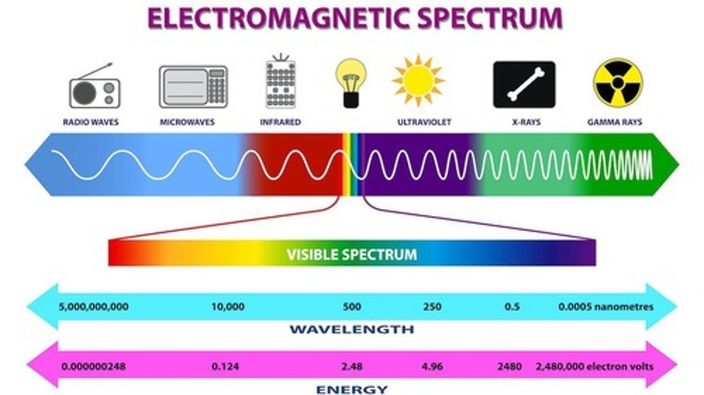 <p>Light is measured in terms of wavelength and amplitude.</p>