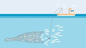 <p> type of net used for fishing, dragged through water to catch fish.</p>