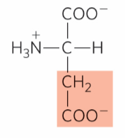<p>What is this?</p>