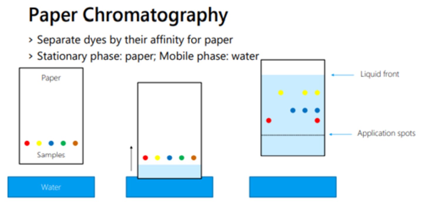 <p>Paper is stationary, solvent (usually water or ethanol) is mobile</p>