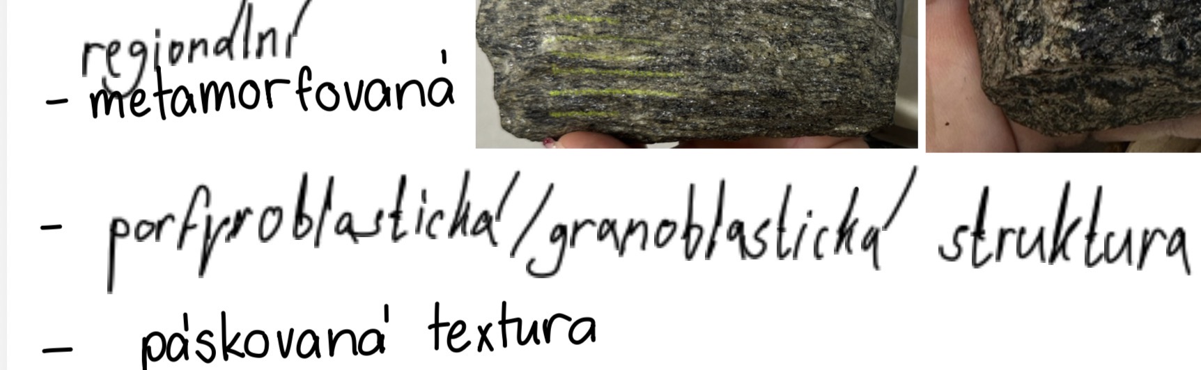 <p>Rula</p>