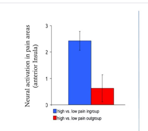<p>People showed more activation in brain areas normally activated during the experience of pain when observing ingroup members than when observing out group members experiencing pain </p>