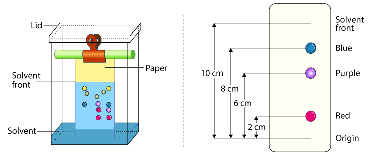 <p>It’s a colourful graph showing the end result of an analysis which shows all the substances which make up a mixture.</p>