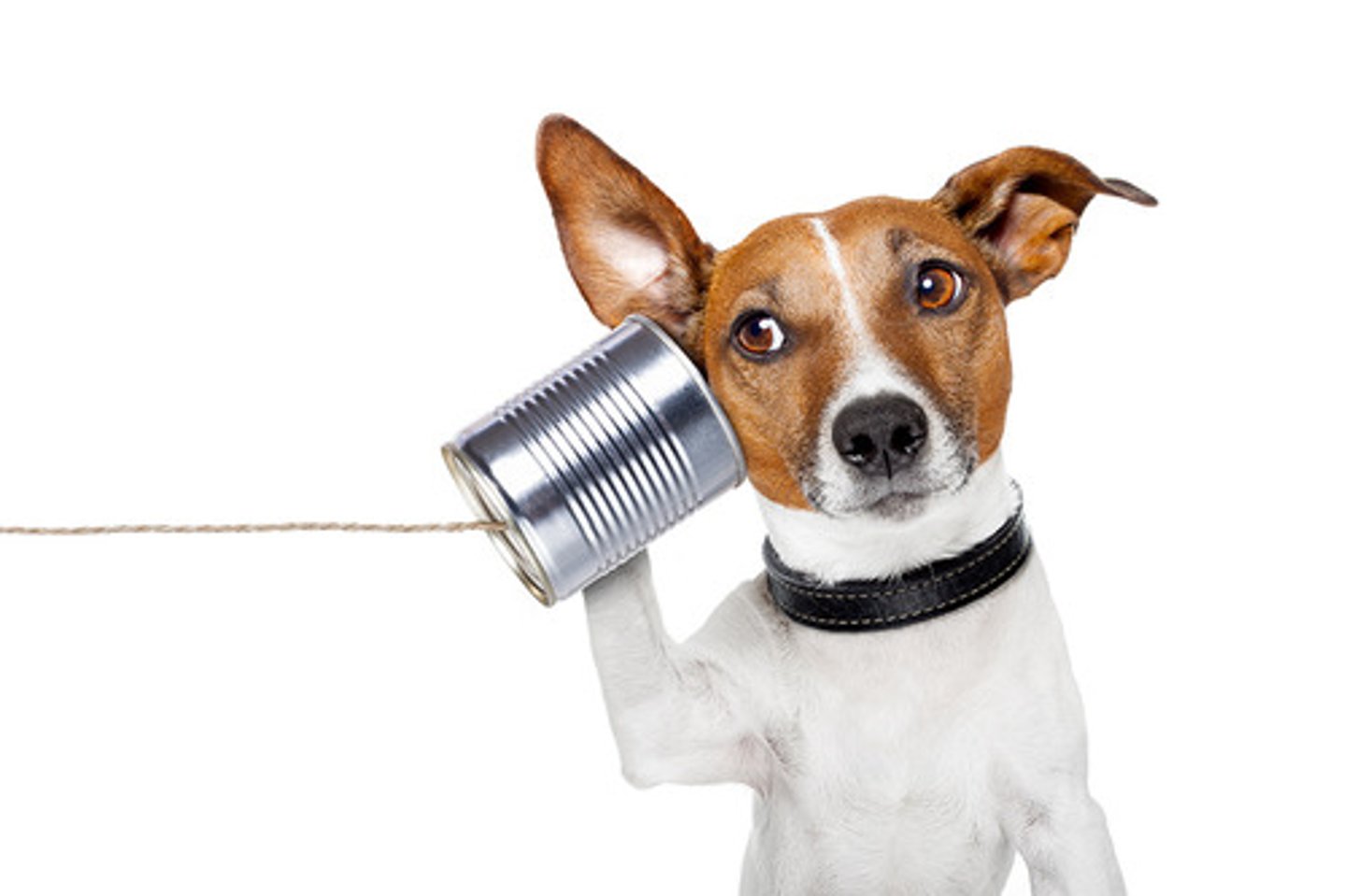 <p>to listen (to)</p>