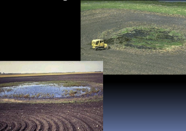 <ul><li><p class="Paragraph SCXW58228012 BCX0" style="text-align: left;"><span>Have changed over time dramatically. We view wetlands in a more positive light now&nbsp;&nbsp;</span></p></li></ul><ul><li><p class="Paragraph SCXW58228012 BCX0" style="text-align: left;"><span>Most of our land has tiles underground to help to flow of water and to prevent flooding of farmland&nbsp;</span></p></li></ul><p></p>