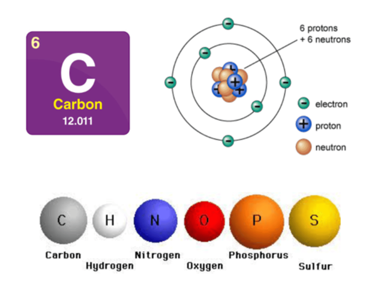 <p>Smallest unit of matter; also known as an element</p>