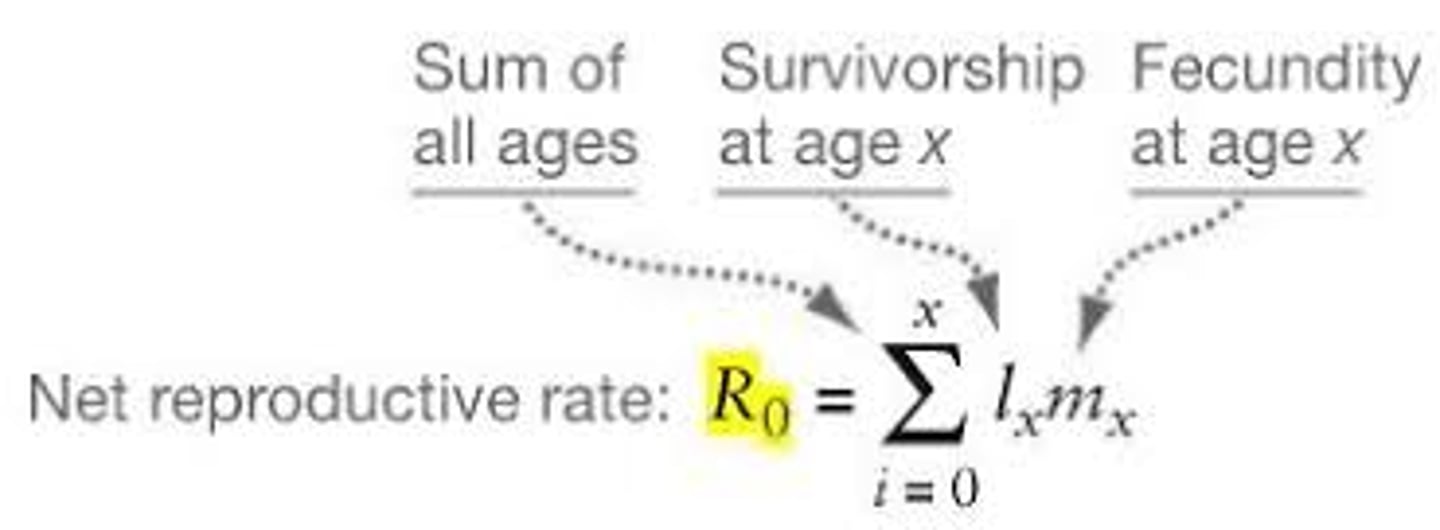 <p>A measure indicating whether a population is increasing, stable, or declining<br><br>Values greater than 1 indicate growth<br>Values = 1 indicate stability<br>Values less than 1 indicate decline</p>