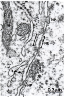 <p><span><span>label diagram:&nbsp;pic</span></span></p>
