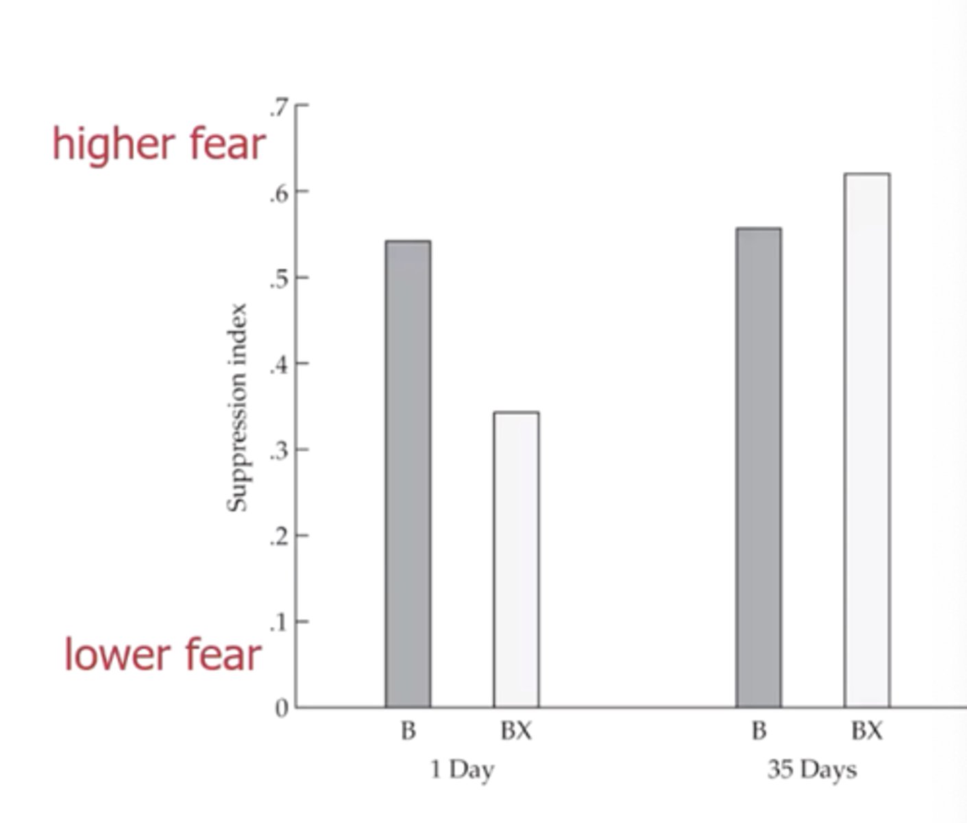 <p>Initially, the rats learnt that X indicates absence of the shock. However after 35 days, this appears to be forgotten</p>