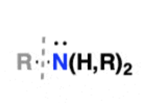 <p>R-NH<sub>2</sub>/R<sub>2</sub>NH/R<sub>3</sub>N</p>