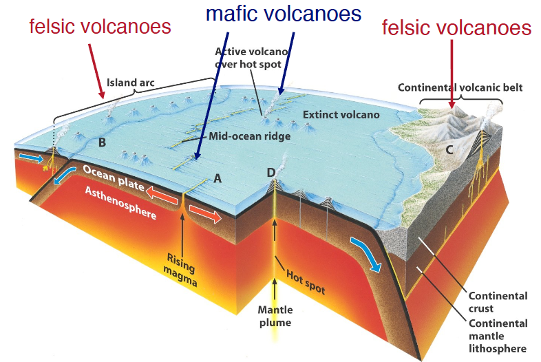 <p><strong>Felsic volcanoes: </strong>ocean-ocean/continent subduction with barely an age difference; partial melting makes felsic & intermediate rocks; either makes island arcs or continental volcanic belt</p><p><strong>Mafic volcanoes:</strong> formed by the eruption of low-viscosity, Mg and Fe rich magma from the partial melting of the mantle at hot spots or divergent plate boundaries. These hot, runny, and gas-poor lavas erupt effusively, flowing easily to build broad, gentle-sloped shield volcanoes or cinder cones.</p>