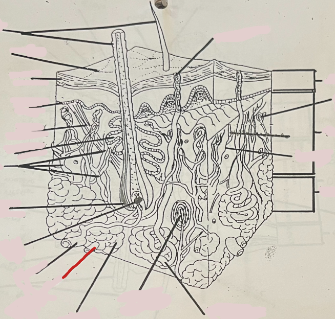<p>What is this?</p>