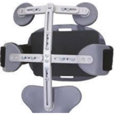 <p>Name this TLO. How is it constructed? Motion limitation?</p>