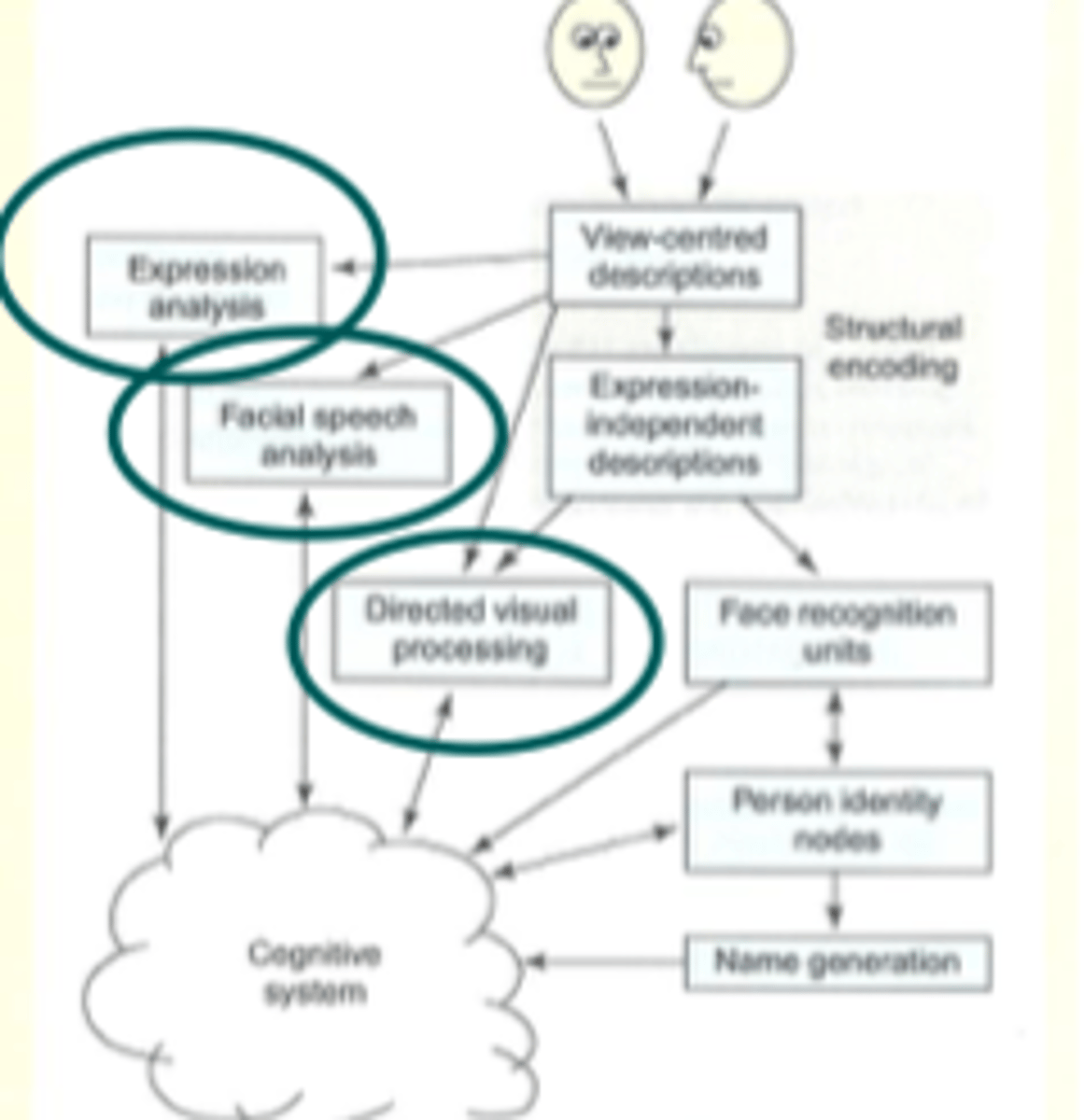 <p>determine facial expression indep of face</p>