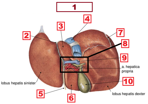 <p>6</p>