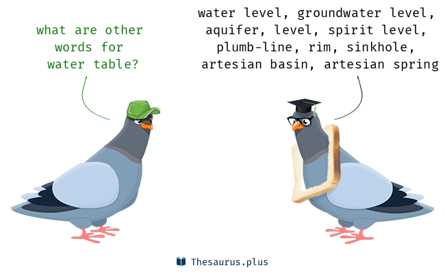 <p><span style="background-color: transparent;"><span>groundwater table</span></span></p>