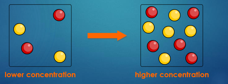 <ul><li><p>Higher the concentration of a dissolved reactant = the faster the rate of a reaction</p></li><li><p>At a higher concentration, there are more particles in the same amount of space.</p><ul><li><p>This means that the particles are more likely to collide and therefore more likely to react.</p></li></ul></li></ul><p></p>