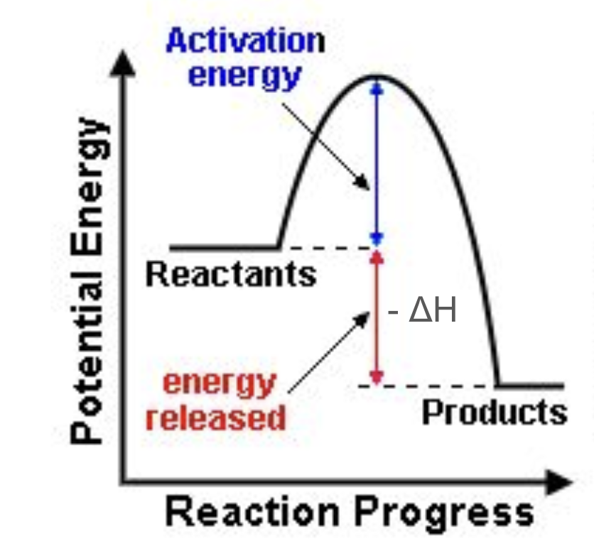 <p>Does this graph represent an endothermic or exothermic reaction?</p>