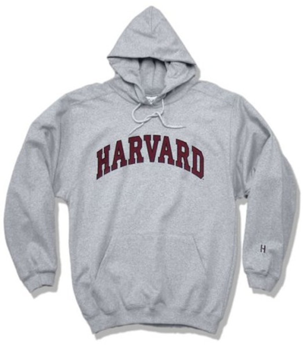 <p>sweatshirt (with hood)</p>