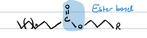 esters of long carbon chain (C>20) monovalent alchols and long chain fatty acids