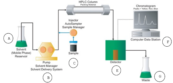 <p>valve in which you inject your sample</p><ul><li><p>Introduces sample into stream of mobile phase that will carry sample to HPLC column. </p></li></ul>