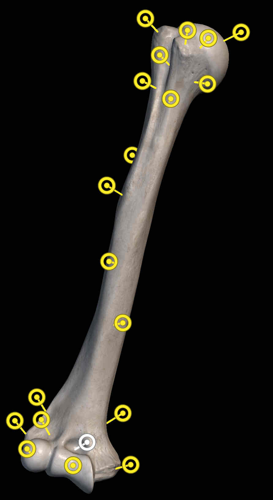 <p>Name the structure</p>