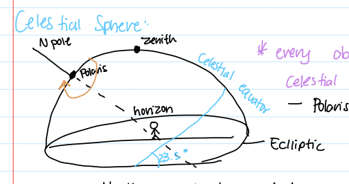<p>apparent path of constellations in the sky</p>