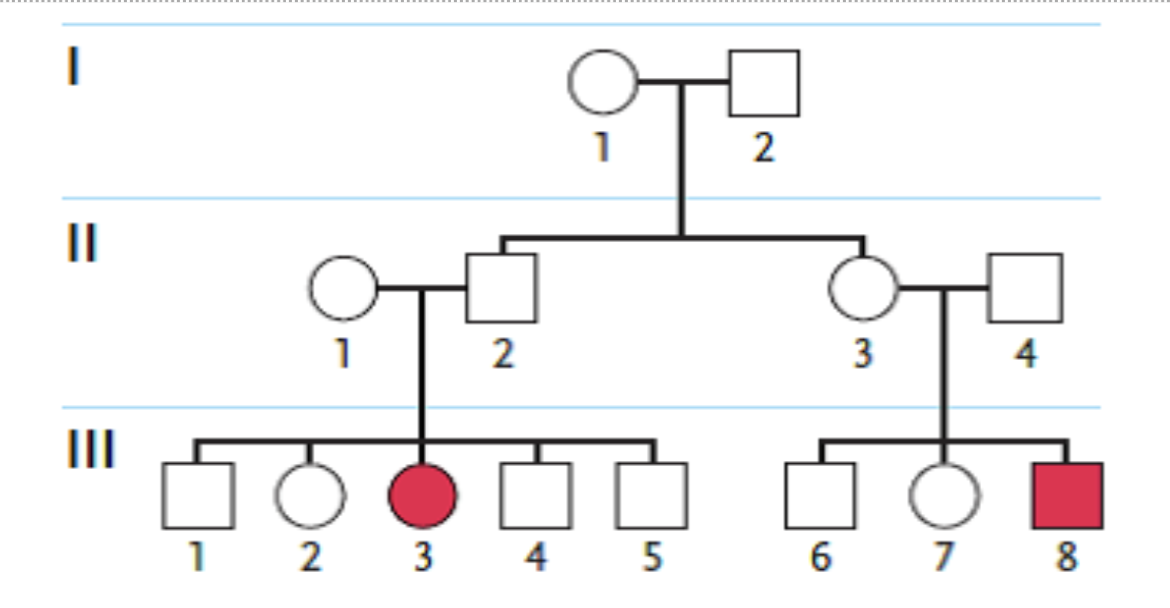 <p><span style="background-color: transparent; font-family: "Times New Roman", serif;"><span>80. Examine the pedigree in the figure above. Individuals affected by the genetic condition in question are indicated by filled squares or circles. Which inheritance pattern is most likely correct for this condition in this family?</span></span></p><table style="min-width: 75px;"><colgroup><col style="min-width: 25px;"><col style="min-width: 25px;"><col style="min-width: 25px;"></colgroup><tbody><tr><td colspan="1" rowspan="1" style="vertical-align: top; overflow: hidden; overflow-wrap: break-word;"><p><span style="background-color: transparent;"><span> </span></span></p></td><td colspan="1" rowspan="1" style="vertical-align: top; padding: 1.5pt 0pt; overflow: hidden; overflow-wrap: break-word;"><p><span style="background-color: transparent; font-family: "Times New Roman", serif;"><span>a. </span></span></p></td><td colspan="1" rowspan="1" style="vertical-align: top; padding: 1.5pt 20pt 1.5pt 0pt; overflow: hidden; overflow-wrap: break-word;"><p><span style="background-color: transparent; font-family: "Times New Roman", serif;"><span>autosomal dominant</span></span></p></td></tr><tr><td colspan="1" rowspan="1" style="vertical-align: top; overflow: hidden; overflow-wrap: break-word;"><p><span style="background-color: transparent;"><span> </span></span></p></td><td colspan="1" rowspan="1" style="vertical-align: top; padding: 1.5pt 0pt; overflow: hidden; overflow-wrap: break-word;"><p><span style="background-color: transparent; font-family: "Times New Roman", serif;"><span>b. </span></span></p></td><td colspan="1" rowspan="1" style="vertical-align: top; padding: 1.5pt 20pt 1.5pt 0pt; overflow: hidden; overflow-wrap: break-word;"><p><span style="background-color: transparent; font-family: "Times New Roman", serif;"><span>X-linked recessive</span></span></p></td></tr><tr><td colspan="1" rowspan="1" style="vertical-align: top; overflow: hidden; overflow-wrap: break-word;"><p><span style="background-color: transparent;"><span> </span></span></p></td><td colspan="1" rowspan="1" style="vertical-align: top; padding: 1.5pt 0pt; overflow: hidden; overflow-wrap: break-word;"><p><span style="background-color: transparent; font-family: "Times New Roman", serif;"><span>c. </span></span></p></td><td colspan="1" rowspan="1" style="vertical-align: top; padding: 1.5pt 20pt 1.5pt 0pt; overflow: hidden; overflow-wrap: break-word;"><p><span style="background-color: transparent; font-family: "Times New Roman", serif;"><span>X-linked dominant</span></span></p></td></tr><tr><td colspan="1" rowspan="1" style="vertical-align: top; overflow: hidden; overflow-wrap: break-word;"><p><span style="background-color: transparent;"><span> </span></span></p></td><td colspan="1" rowspan="1" style="vertical-align: top; padding: 1.5pt 0pt; overflow: hidden; overflow-wrap: break-word;"><p><span style="background-color: transparent; font-family: "Times New Roman", serif;"><span>d. </span></span></p></td><td colspan="1" rowspan="1" style="vertical-align: top; padding: 1.5pt 20pt 1.5pt 0pt; overflow: hidden; overflow-wrap: break-word;"><p><span style="background-color: transparent; font-family: "Times New Roman", serif;"><span>cytoplasmic inheritance</span></span></p></td></tr><tr><td colspan="1" rowspan="1" style="vertical-align: top; overflow: hidden; overflow-wrap: break-word;"><p><span style="background-color: transparent;"><span> </span></span></p></td><td colspan="1" rowspan="1" style="vertical-align: top; padding: 1.5pt 0pt; overflow: hidden; overflow-wrap: break-word;"><p><span style="background-color: transparent; font-family: "Times New Roman", serif;"><span>e. </span></span></p></td><td colspan="1" rowspan="1" style="vertical-align: top; padding: 1.5pt 20pt 1.5pt 0pt; overflow: hidden; overflow-wrap: break-word;"><p><span style="background-color: transparent; font-family: "Times New Roman", serif;"><span>autosomal recessive</span></span></p></td></tr></tbody></table><p></p>