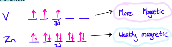 <p>Magnetic strength depends on the number of unpaired electrons in the d-orbitals</p>