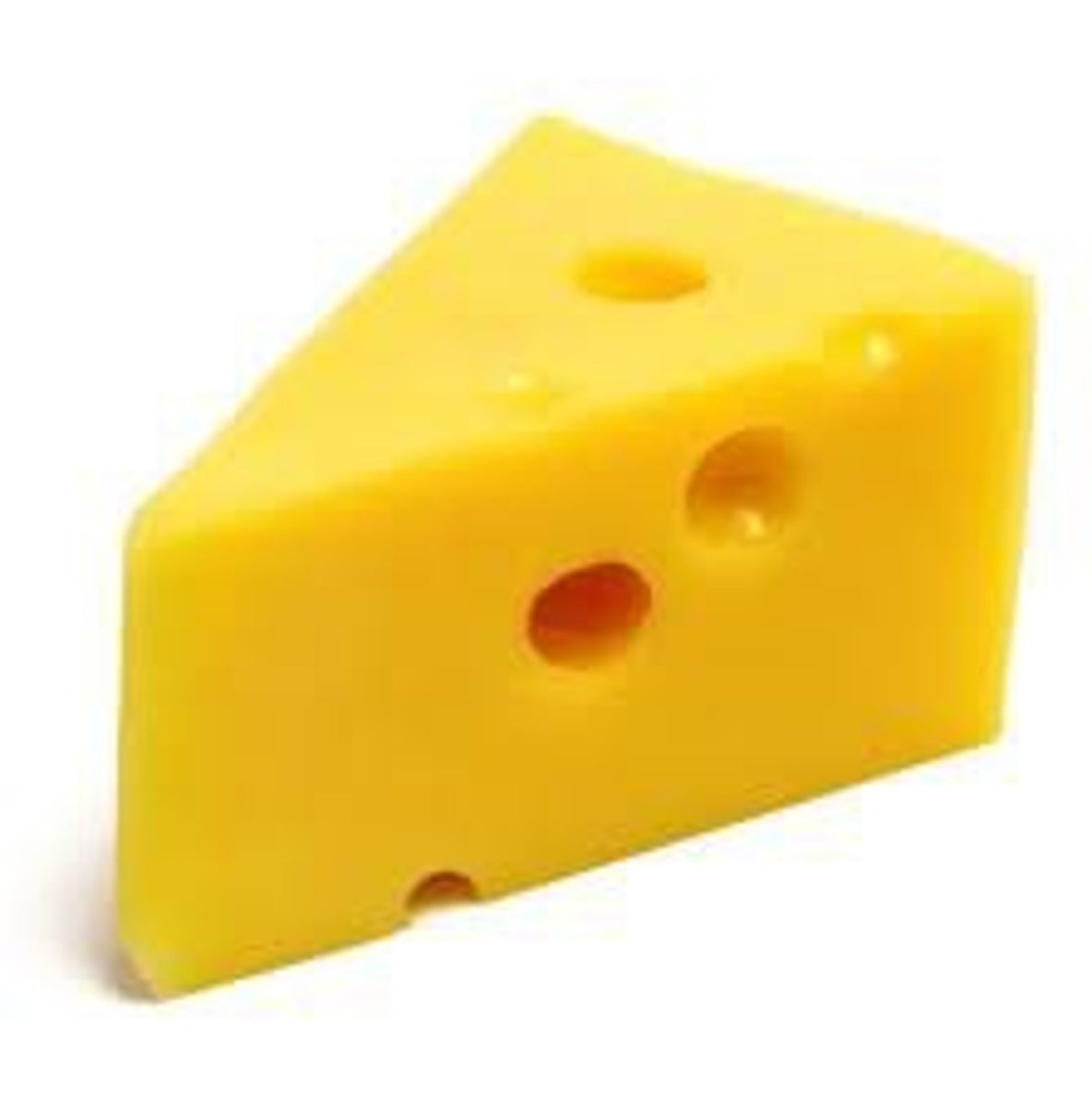<p>ser</p>