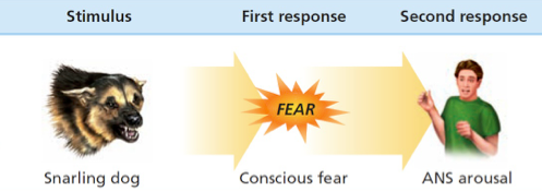 <p>Common Sense Theory</p>