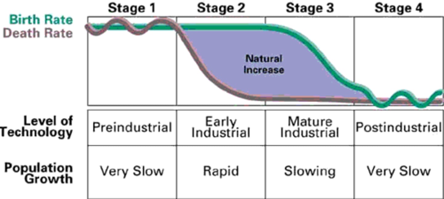 <p>Phase 1: primitive stability (pre-industrial)</p><p>- high CBR is offset by high CDR</p><p>Phase 2: epidemiologic transition (transitional)</p><p>- declining CDR</p><p>- high CBR results in rapid population growth</p><p>Phase 3: fertility rates declining (industrial)</p><p>- population growth is still significant</p><p>Phase 4: modern stability is reached (post-industrial)</p><p>- CDR and CBR are both low</p>