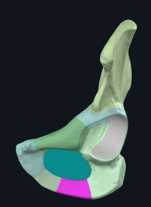 <p>What is highlighted</p>