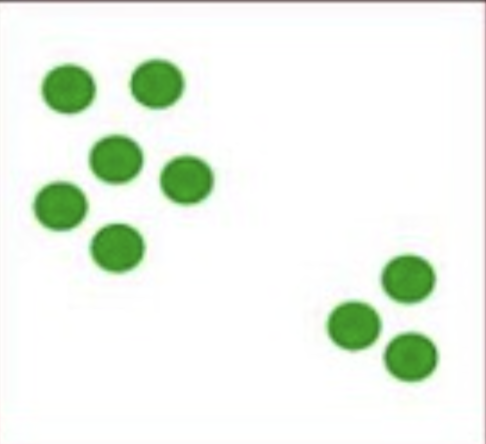 <p>most common dispersion pattern, individuals flock together</p>