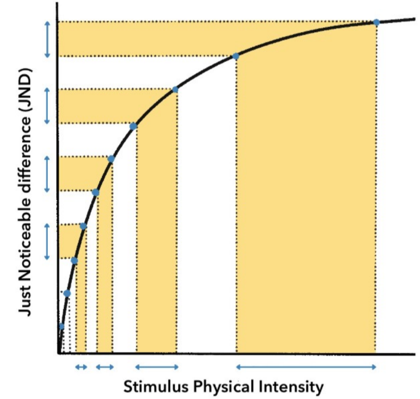 <p>$$p=k\cdot log(\frac S{S_0})$$</p><p>$$p$$ represents subjective perception (experience)</p><p>$$S$$ represents the physical intensity of the stimulus</p><p>$$S_0$$ the smallest intensity of the stimulus that can be perceived, or absolute threshold</p><p>$$k$$ is a modality-specific factor controlling the steepness of the function depending on the sensory modality.</p><p></p><p>[Grows <strong>logarithmically</strong>]</p>