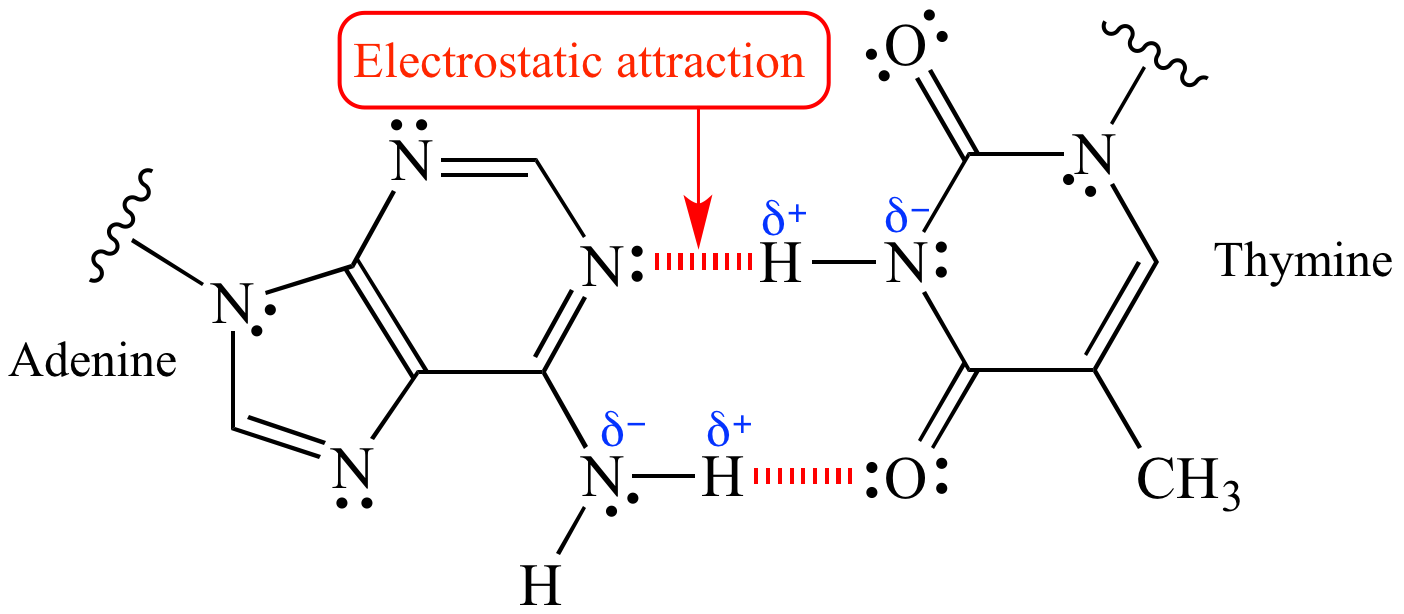 <p>what is electrostatic attraction?</p>