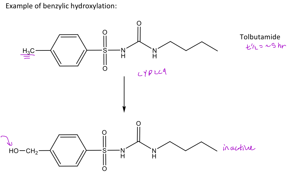 <ol><li><p>The first reaction is mediated by <em>CYP2C9</em> which will add an OH group to the benzylic carbon which can undergo extensive hepatic metabolism and form the inactive compound</p></li><li><p>It can continue oxdizing the hydroxyl all the way to the aldehyde and then carboxylic acid</p></li></ol>