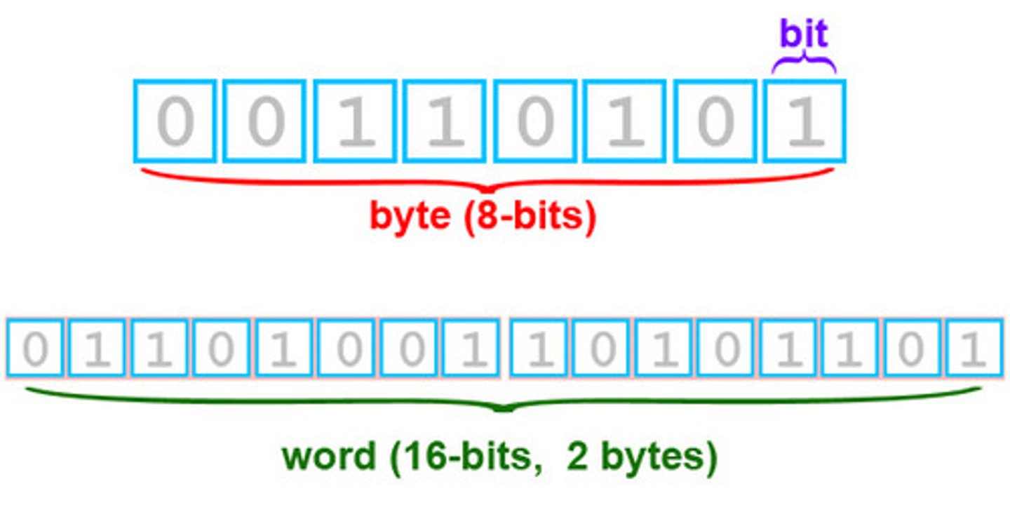 <p>technical term for 8 bits of data</p>