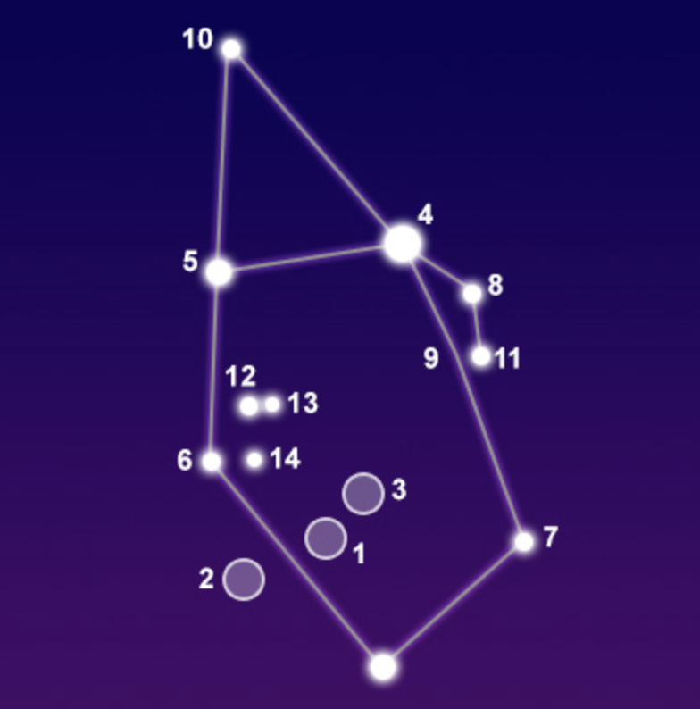 term image